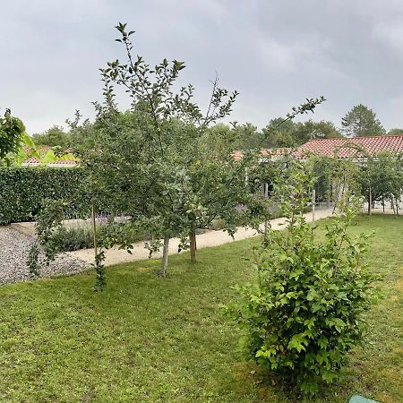 O'Pintxo Bed & Breakfast Onesse-et-Laharie Bagian luar foto