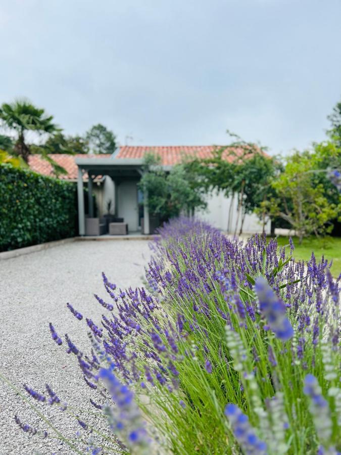 O'Pintxo Bed & Breakfast Onesse-et-Laharie Bagian luar foto